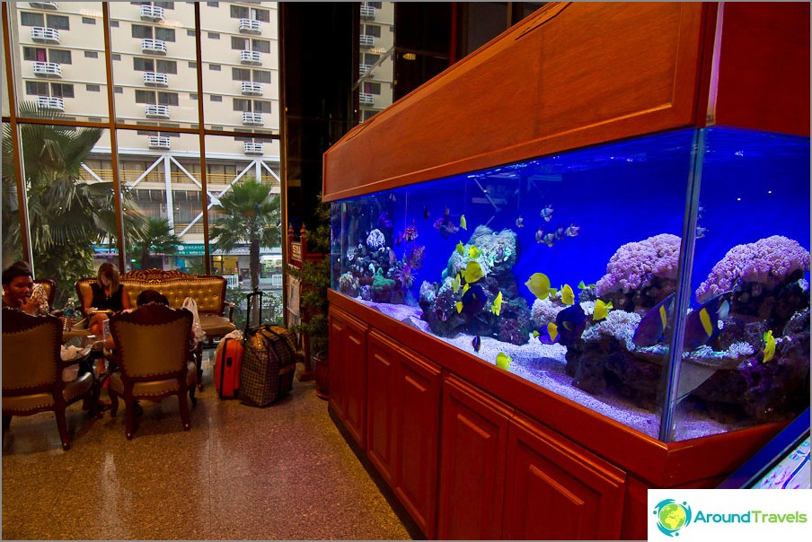 Aquariums with fish in the lobby