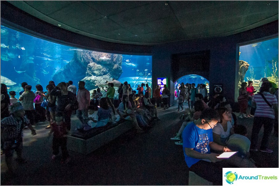 トンネルを抜ける水族館