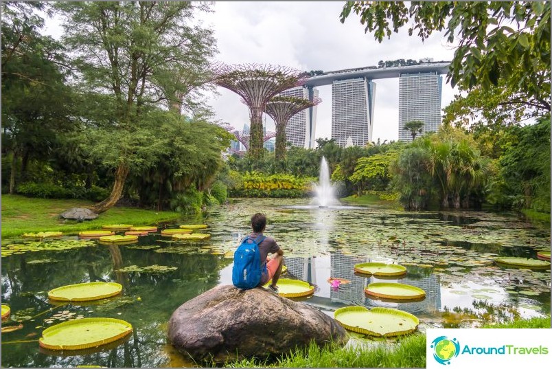 Gardens by the Bay in Singapore is the main attraction