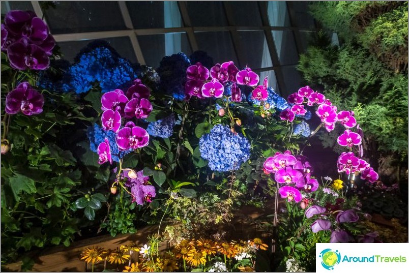 Gardens by the Bay in Singapore is the main attraction