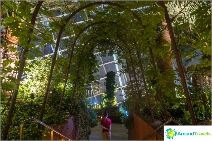 Gardens by the Bay in Singapore is the main attraction