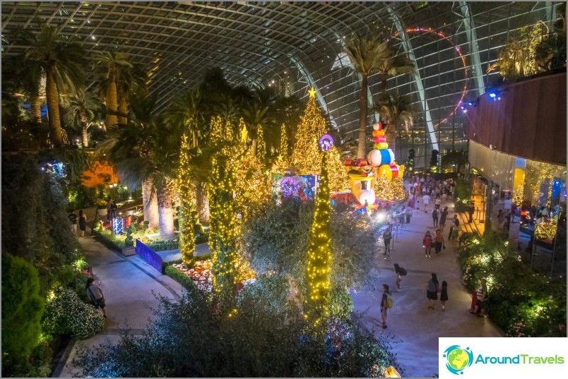 Gardens by the Bay in Singapore is the main attraction