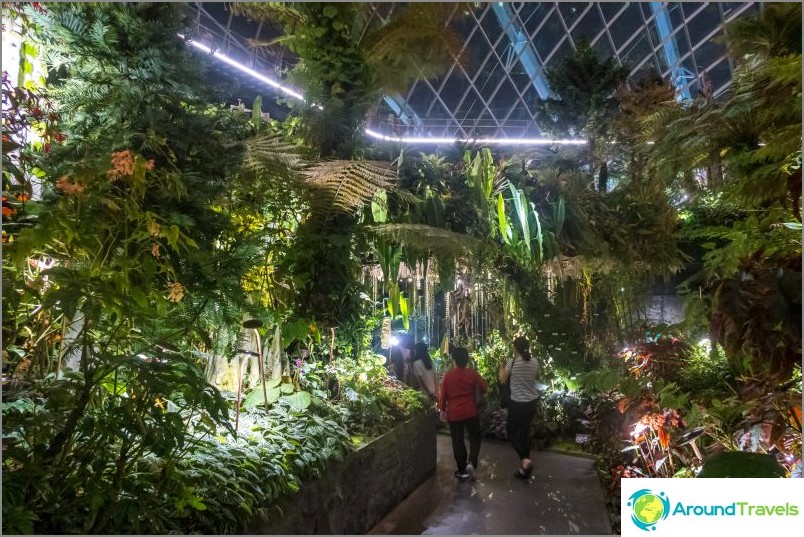 Gardens by the Bay in Singapore is the main attraction