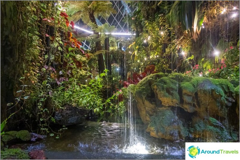 Gardens by the Bay in Singapore is the main attraction