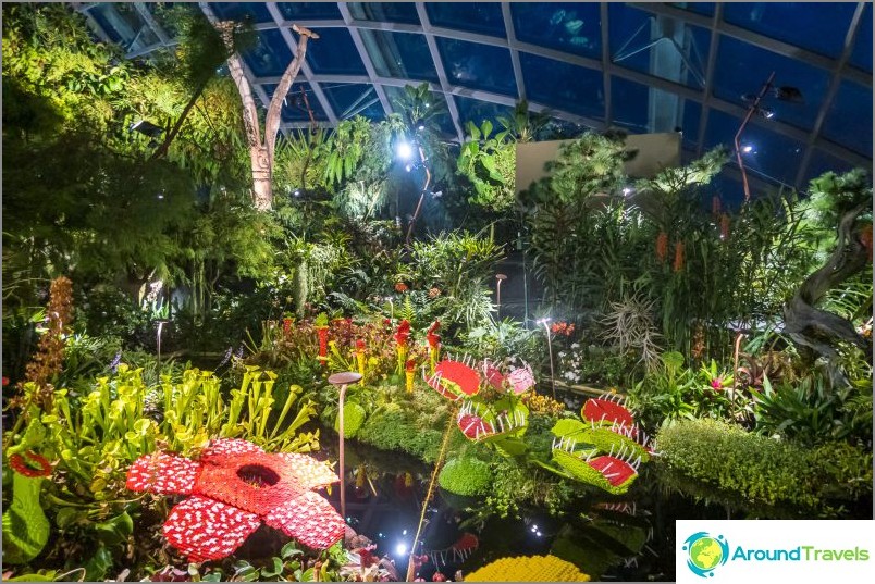 Gardens by the Bay in Singapore is the main attraction