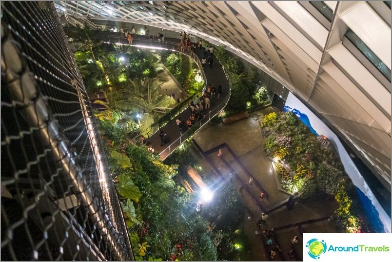 Gardens by the Bay in Singapore is the main attraction