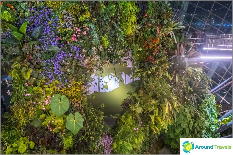 Gardens by the Bay in Singapore is the main attraction