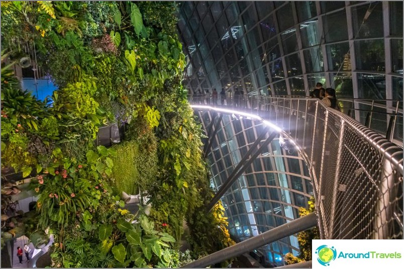 Gardens by the Bay in Singapore is the main attraction