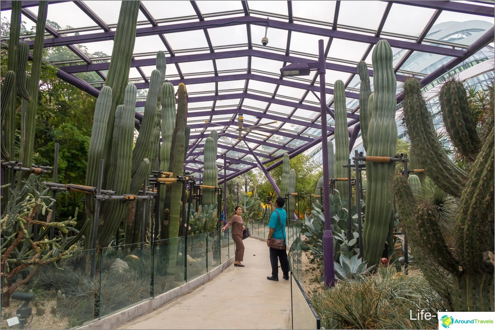 Gardens by the Bay in Singapore is the main attraction