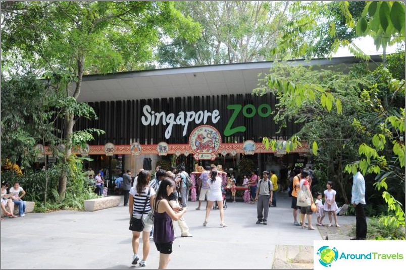 Singapore Zoo Mandai