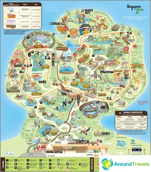 Zoo layout