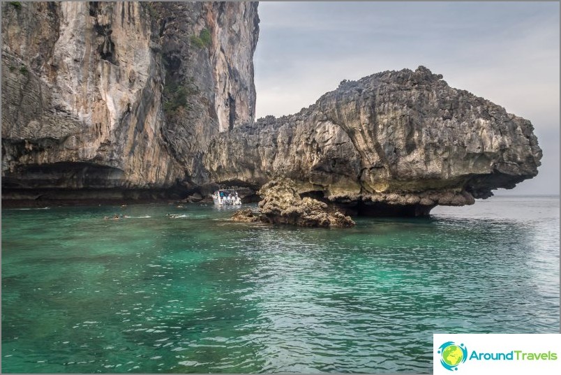 Praia de Nui em Phi Phi Don - Leitão selvagem na selva