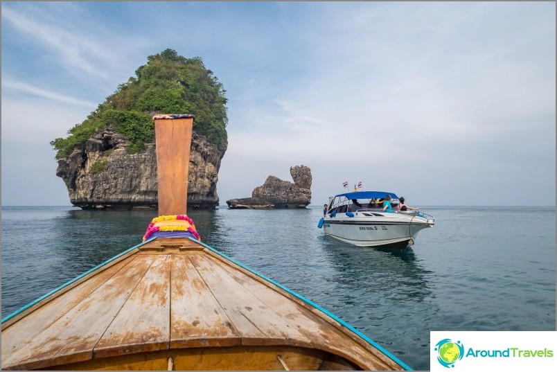 Nui Beach în Phi Phi Don - Purcel sălbatic în junglă