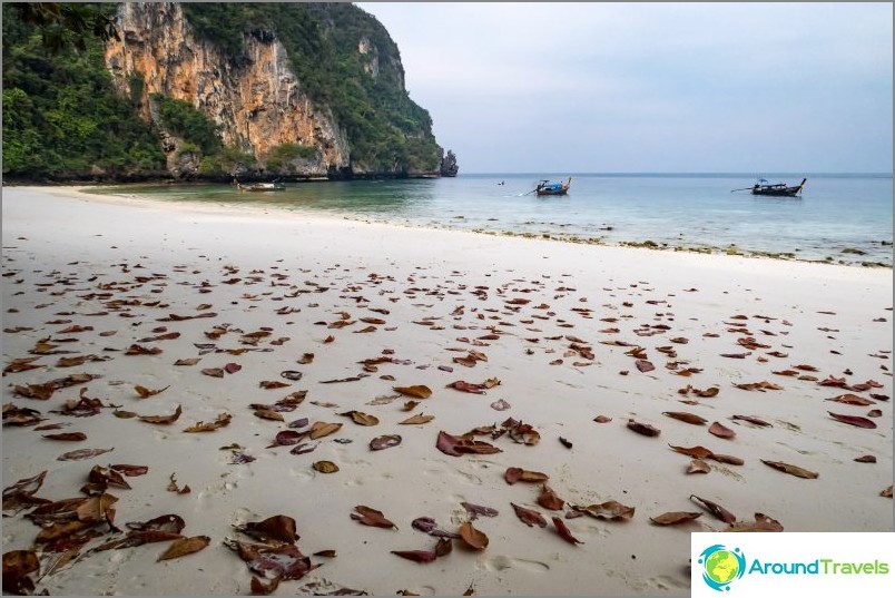 Majom strand - Majom Paradicsom a Phi Phi Don-ban