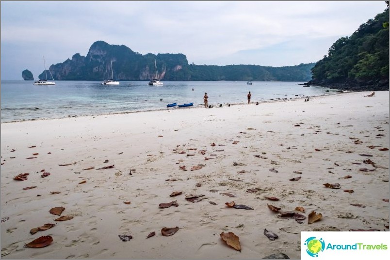 Monkey Beach - Monkey Paradise on Phi Phi Don