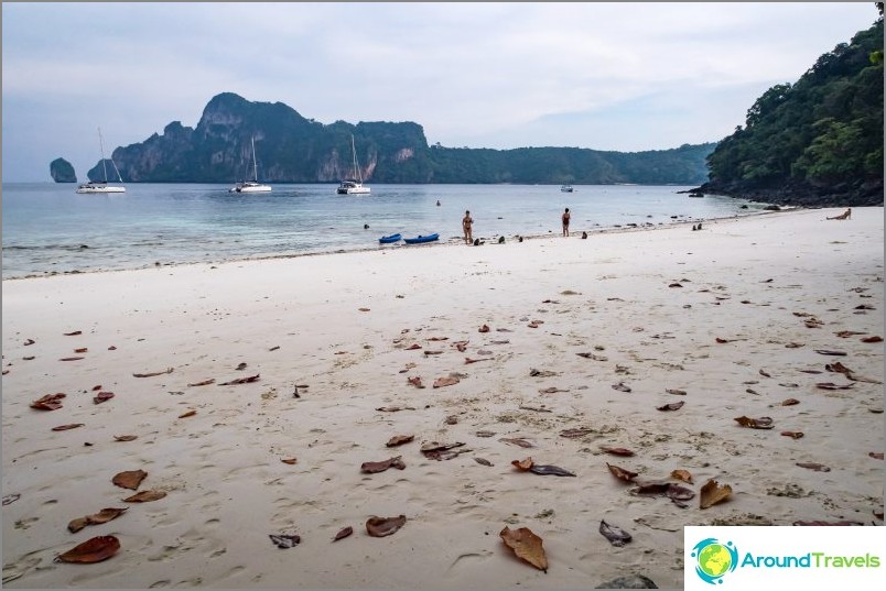 Monkey Beach - Monkey Paradise at Phi Phi Don