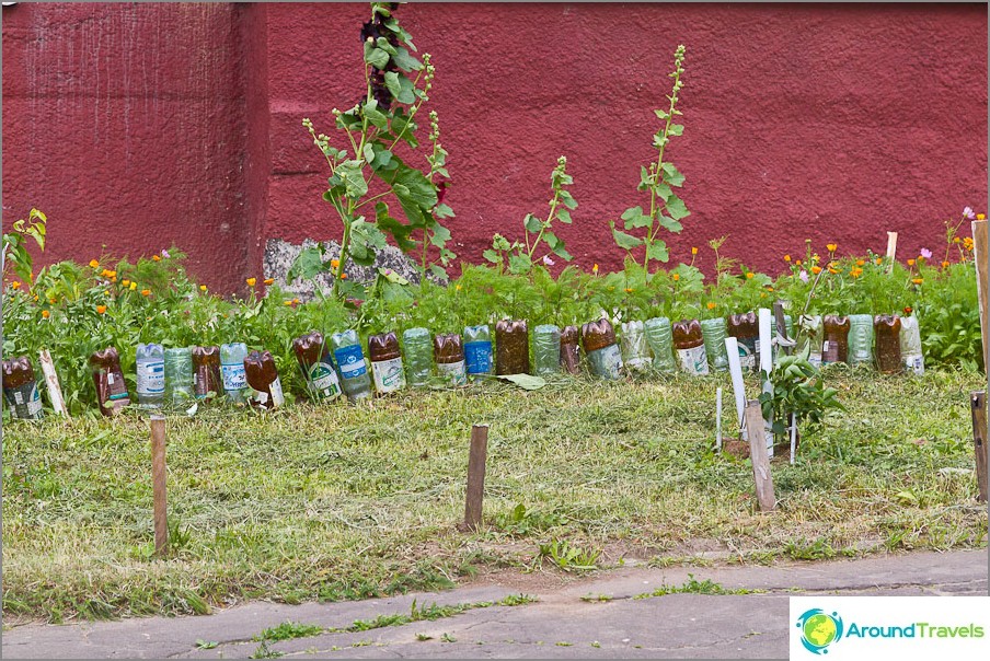 Plastik şişelerden yapılmış bir çit ile flowerbed