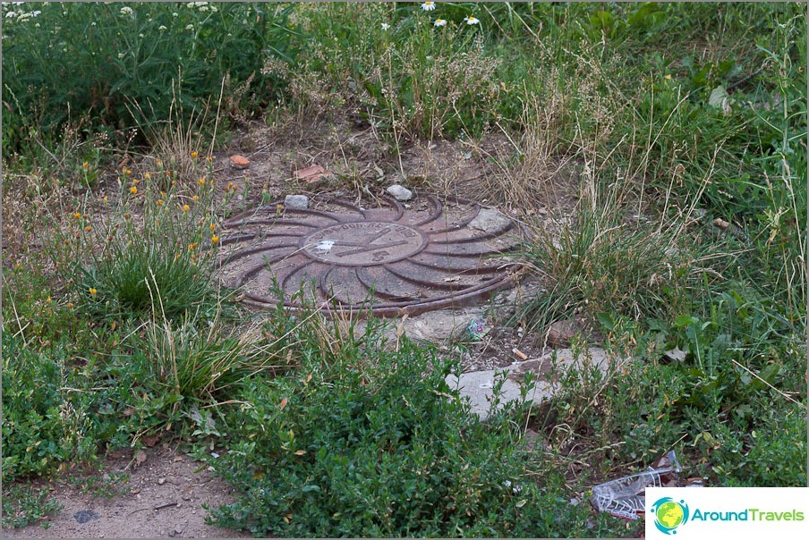 Luiken verstoppen zich in het gras