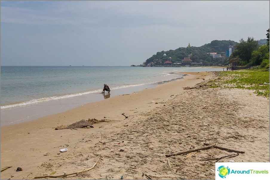 beach-tao-o-turtle-vicino-mountain-Khao-tao-02