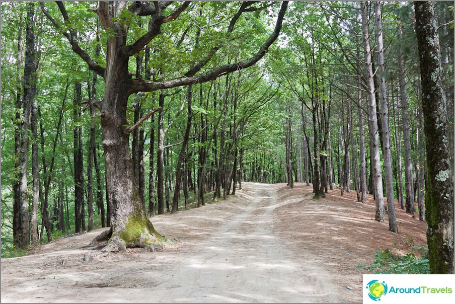 Kiseleva kayaya giden yol