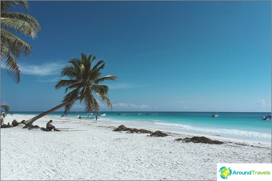 Palm trees by the sea, where can a freelancer do without them =)