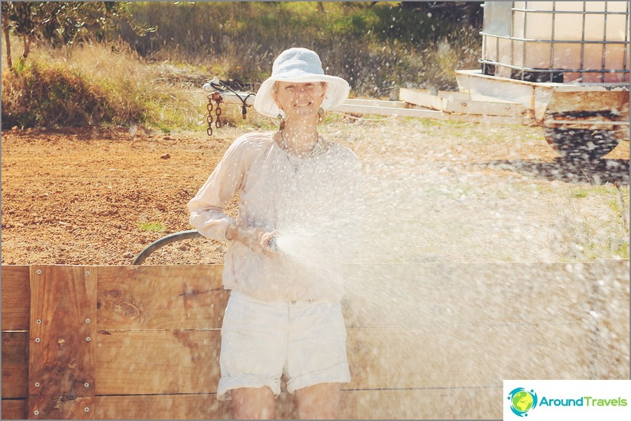 Volunteering in Australia on a farm