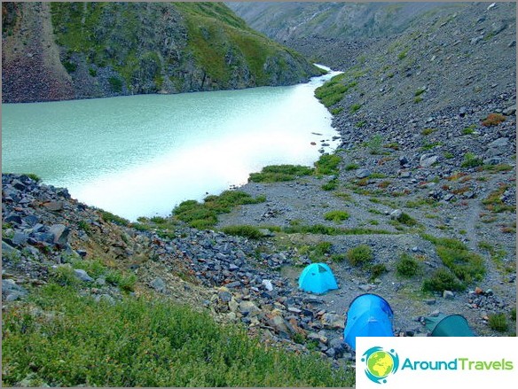 Montanha Altai. A uma altitude de 2500m.