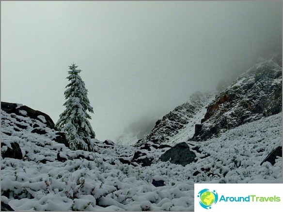 Montagne de l'Altaï.