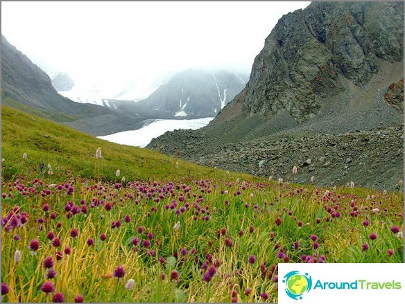 Mountain Altai.