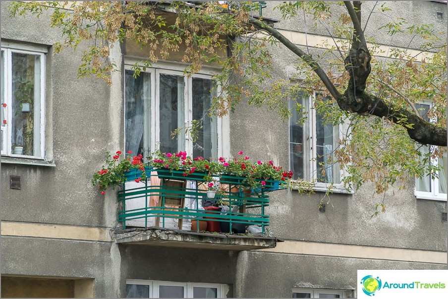 Aber überall Blumen auf Balkonen und Fensterbänken