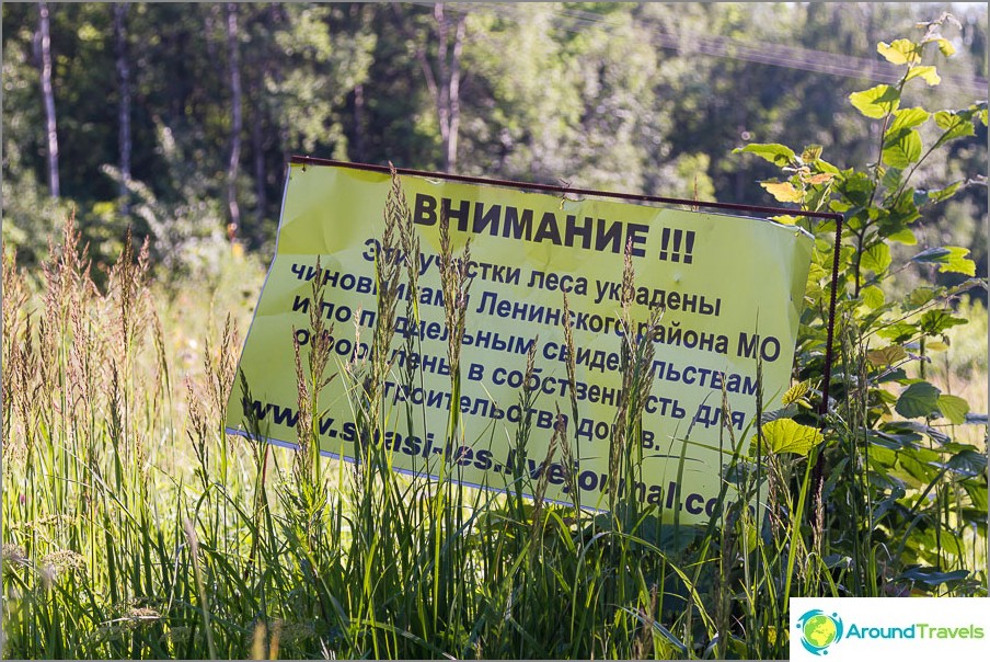 Kanskje Butovo-skogen forsvinner i tid