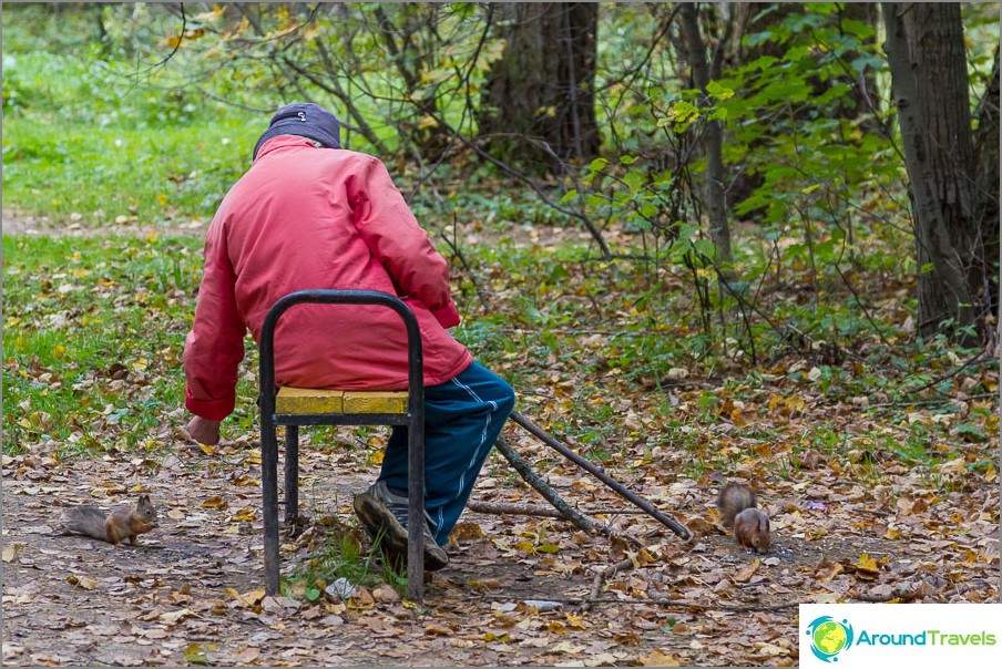 Grandmothers sit there and feed squirrels