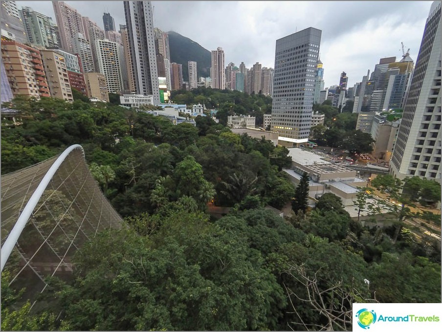 حديقة هونغ كونغ - واحة بسياج ناطحات السحاب