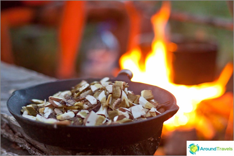 Ceps antes de fritar