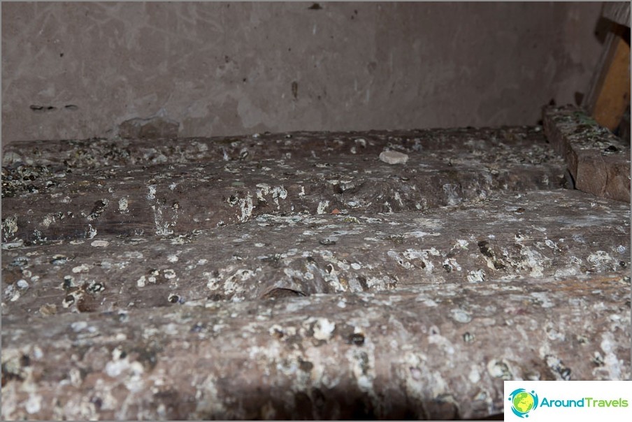 Escalera en el campanario favorecido por los pájaros.