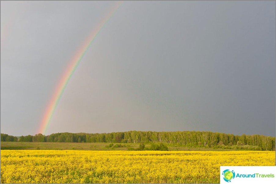 Aufruhr der Farben nach dem Regen