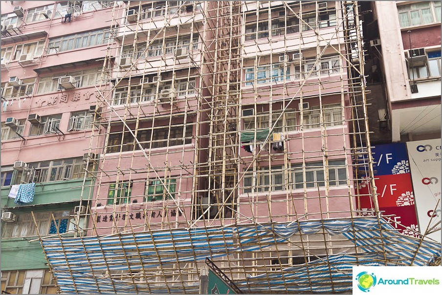 Bamboo forests are still used today