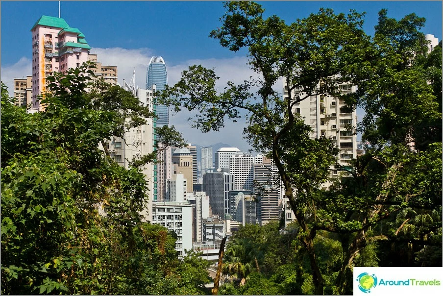 Climbing higher and higher to Victoria Peak