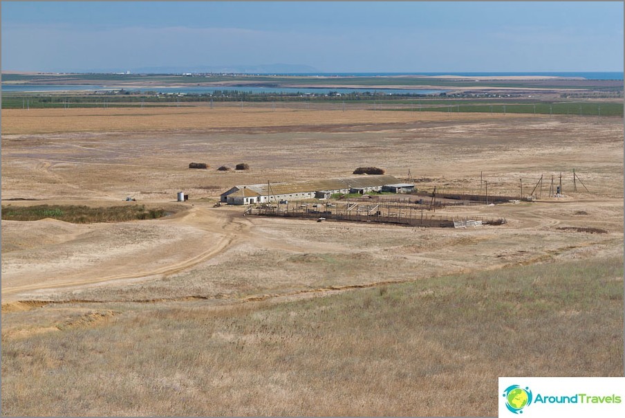 Top view of the fields