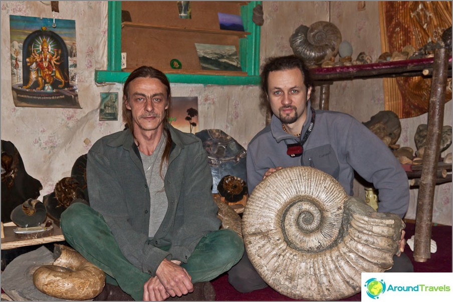 Evgeny's ammonite collection