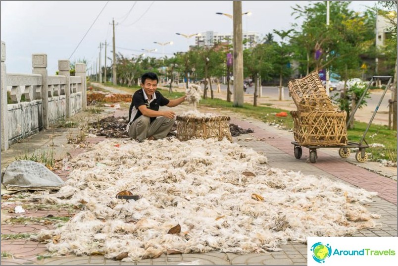 Hombre chino seca plumas de pájaros en el paseo marítimo