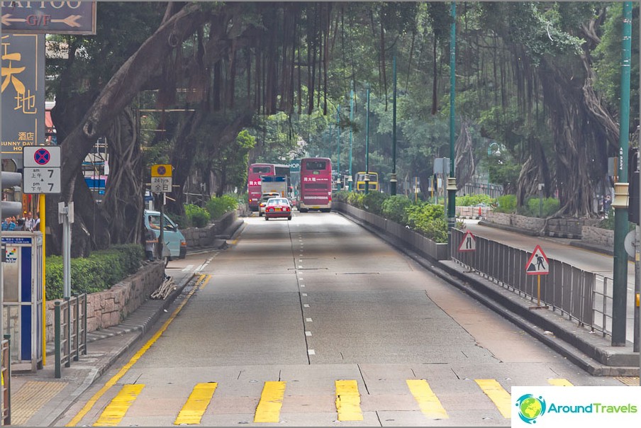 Large trees hang over Nathan Road