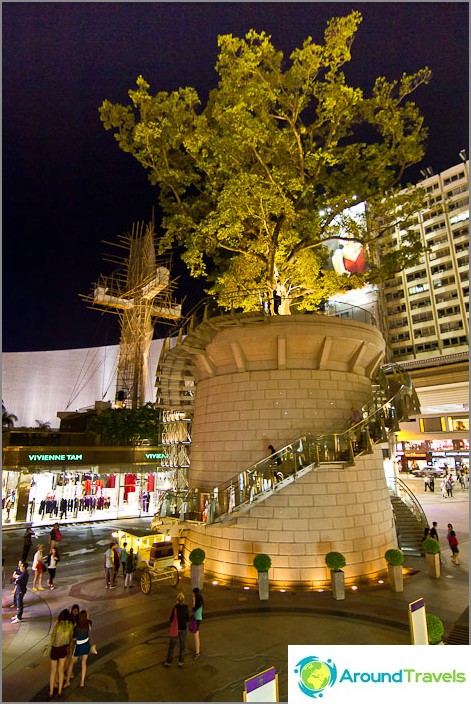 Tree on a pedestal