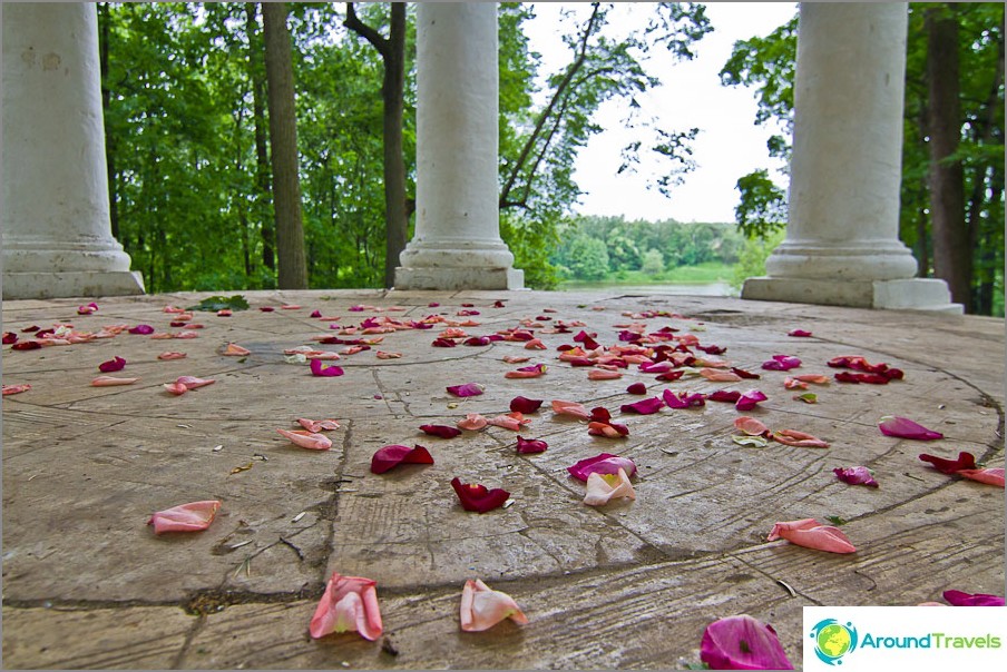 Rose petals in the gazebo after the wedding