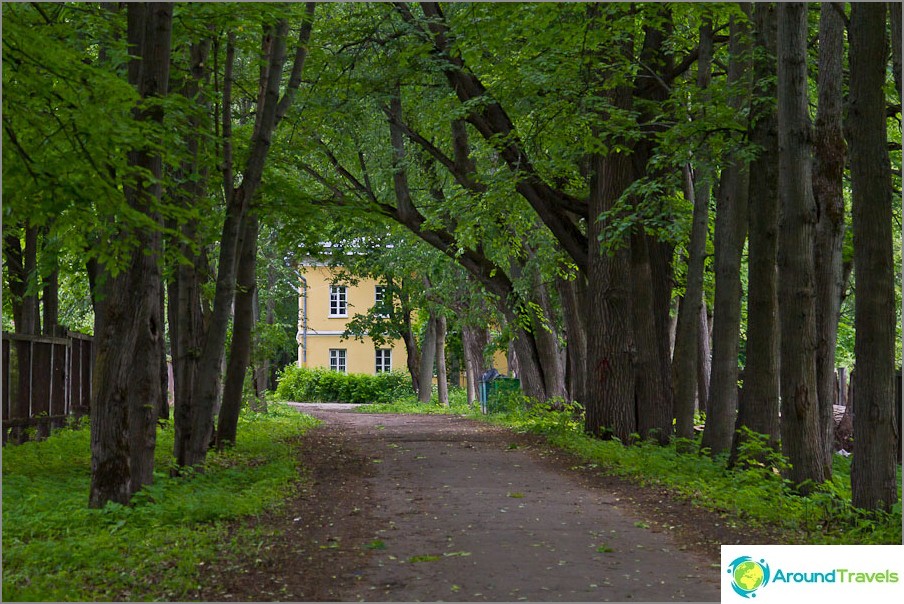 Lindengasse im Anwesen von Suchanowo