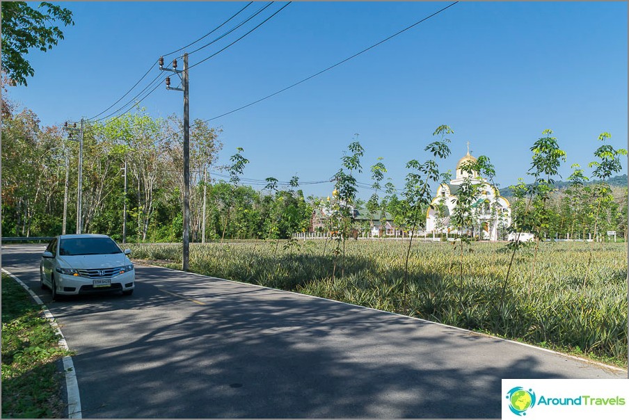 Meu carro Honda City e uma igreja ortodoxa em um fundo de palmeiras