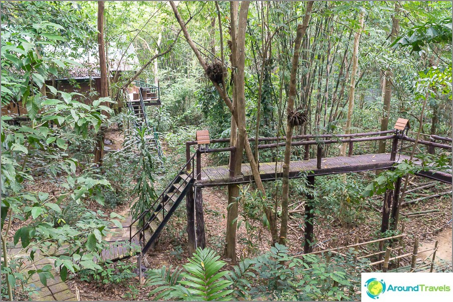 Nakvynė nacionaliniame parke medžių namelyje - „Treehouse Resort“