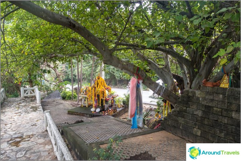 Tree and house of spirits