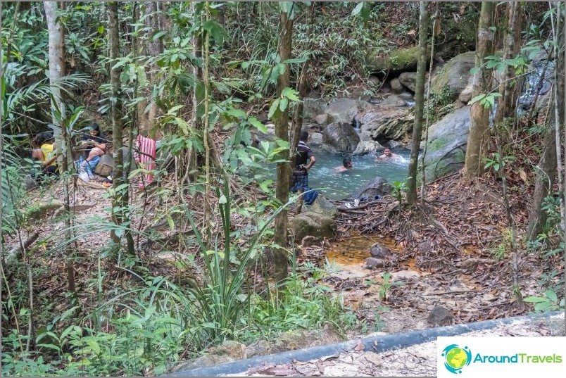 Even at the very beginning of the journey, you will come across a section of forest where the river bed runs close to the road