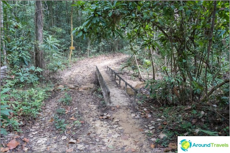 There are places where sewage can run across the road during the rainy season